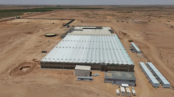 لقطة جوية — السقف متعدد الفتحات