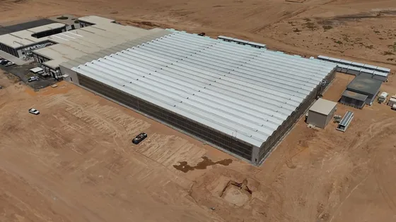 الامتداد الكامل للمنشأة