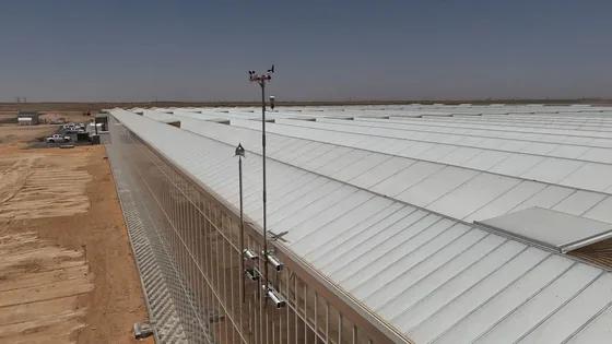 أعمدة الإنارة على المحيط
