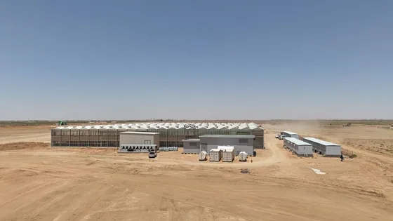 المنشأة من مسافة — الموقع كاملًا